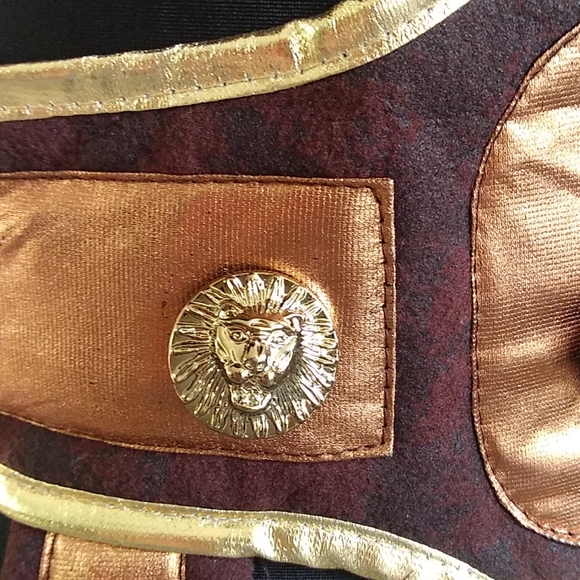 Phoenix Goddess Halloween Costume Adult One Size - Picture 4 of 14